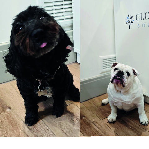 Percy & Bella